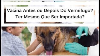 Vacina Antes ou Depois do Vermifogo É Mesmo Importante Tem que Ser Importada  Dica do Veterinário [upl. by Aicenav]