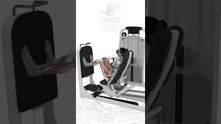 Leg Press Horizontal  Leg Press Sentado [upl. by Attiuqehs]