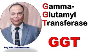 Gamma glutaryl transferase GGT hepatitis liverdisorders شرحبالعربي [upl. by Hepzi]