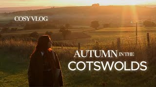 COTSWOLDS in Autumn  Cosy Vlog  Countryside Sunsets Blackberry Picking Farming [upl. by Atsyrhc127]