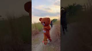 mr teddy bear and Video teedybear comedyfilms teddy tedtheteddybear comedymovies funny [upl. by Nerte14]