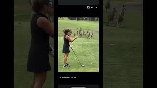 Kangaroos Have Mastered The Art Of Golf [upl. by Notyarb469]