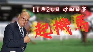 「康樂高球」馬房收收埋埋，試閘似差實好！做位置Q冷膽💪｜11月24日 沙田日賽 起機馬 [upl. by Ahsikyt]