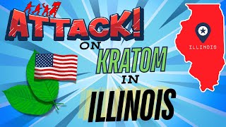 The Kratom Gals  Kratom Under Attack in IL amp Celebrating Misty Browns BDay [upl. by Yggep]