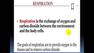 Respiratory Physiology  Introductory Class [upl. by Eelsel]