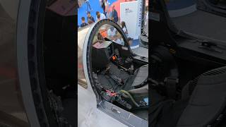 Rafale Marine cockpit up close [upl. by Artima700]