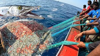 Trawling Boats and DeepSea Fishing  Fishing Latest Videos KadalTv [upl. by Eiltan]