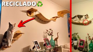 😻GIMNASIO de PARED para GATOS RECICLADO♻️ Parte 1 [upl. by Naggem]