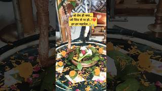 shiv hi Satya haisatyam shivam sundaram shorts shortsfeed mahadev mahakal hindu kedarnath 4k [upl. by Seamus]