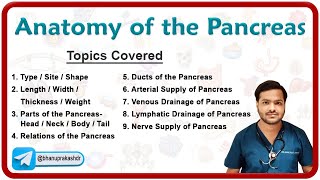 Gross Anatomy Of The Pancreas Parts Relations Neurovascular supply Venous and Lymphatic drainage [upl. by Daas]