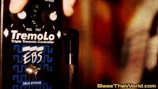 EBS BASS TREMOLO [upl. by Dierdre]