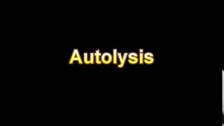 What Is The Definition Of Autolysis Medical Dictionary Free Online [upl. by Tyre612]