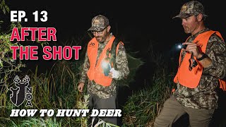 You Just Shot a Deer What Next How to Hunt Deer Ep 13 [upl. by Zindman]