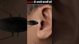 Cockroaches 😳🪳 CanStuck In Your 👂 Ear msgamerff2 facts viralshort [upl. by Clayberg]