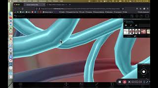 BIOL 314 Lab Exercise 40 Blood Flow Through Kidney [upl. by Hamaso]