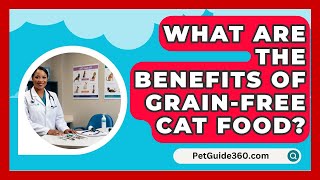 What Are the Benefits of GrainFree Cat Food  PetGuide360com [upl. by Theall]