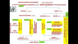 Audit Opinion أنواع الرأي بتقارير المراجعه [upl. by Assiroc]