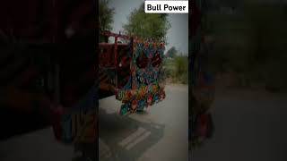 Bull Power 577 [upl. by Rhys]