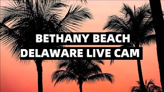 Bethany Beach Delaware live Webcam  Delaware beach live webcam  bethany beach boardwalk live cam [upl. by Daryle]