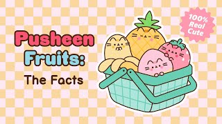 Pusheen Fruits The Facts [upl. by Alphonso]