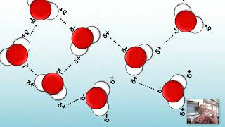 Properties of Water Updated AP Biology Topic 11 [upl. by Elmajian]