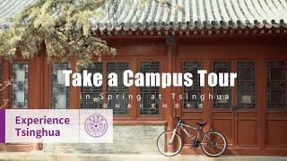 Take a campus tour at Tsinghua in spring [upl. by Colis]