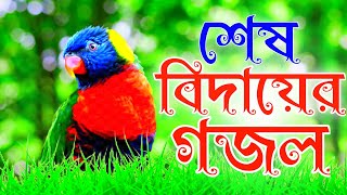 শেষ বিদায়ের মন প্রাণ উজাড় করা সেরা গজল বাংলা গজল gojol  Bangla gojol 2024  gojol Bangla [upl. by Allyson]