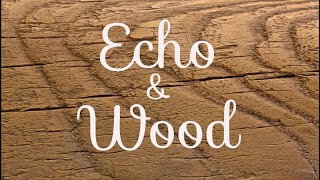 Echo amp Wood  Story by Source NOW [upl. by Rebah]