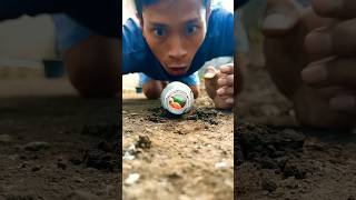 cute hermit crabs part 4  kelomang shortvideo hermitcrab [upl. by Allicirp962]