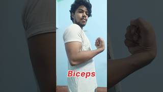 ONLY 2 EXERCISE You NEED For BIGGER BICEPS AT HOME  NO DUMBBELL EXERCISE ✅ [upl. by Eillit]