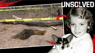 Cold Case Mysteries Solved Recently  Cold Case Mystique Compilation [upl. by Hacim]