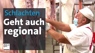 65000 Schlachtungen im Jahr statt 20000 Schlachtungen am Tag  Abendschau  BR24 [upl. by Anayaran6]