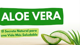 13 Beneficios de Aloe Vera [upl. by Tigges401]