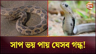 সাপ তাড়াবেন যেভাবে  Keep Away From Snake  Tips  Save Life  Channel 24 [upl. by Frank]