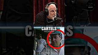 US Army VS Mexican Cartels Who Wins  JRE Podcast w John Mcphee 🇺🇸 army cartel podcast [upl. by Aja]