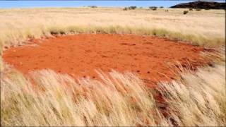 Qué significan los círculos mágicos en los pastizales de Namibia [upl. by Airahs]