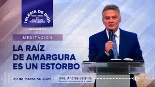 Meditación La raíz de amargura es un estorbo 29 de marzo de 2021 Hno Andrés Carrillo [upl. by Enetsirk]