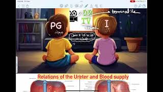 Relations of the Ureter  Blood supply [upl. by Eimyaj]