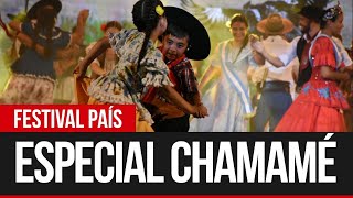 Especial Chamamé  Festival País [upl. by Neenej492]