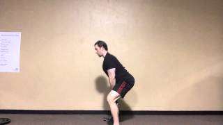 Plate Swings with Dr Joel Seedman [upl. by Cohlier]