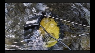 Harvest Energy From Water amp Wind  Waterlily Turbine Field Review in Crested Butte CO [upl. by Ailey]