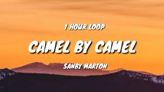 Sandy Marton  Camel by Camel 1 HOUR LOOP [upl. by Atteniuq]