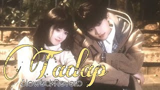 Tadap  Full Song  SlowedReverb New Songs 2024 [upl. by Nolham]