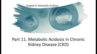 Metabolic Acidosis Part 11 Metabolic Acidosis in Chronic Kidney Disease CKD [upl. by Yemorej]