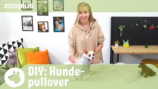 Hundepullover selber machen aus alter Hose Tierisch einfach DIY mit Luisa  zooplus [upl. by Nymzaj762]