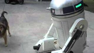 Larger than life motorized R2D2 [upl. by Ise]