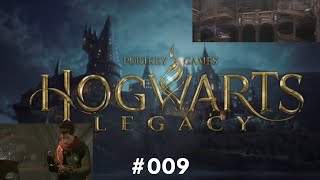 Zaubertrank Unterricht und fliegende Bücher  Lets Play Hogwarts Legacy 009 [upl. by Bolen]