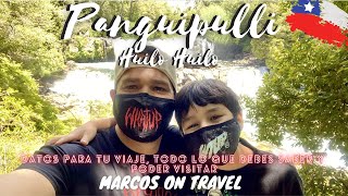 Panguipulli Huilo Huilo datos para tu viaje todo lo que puedes visitar y conocer [upl. by Vilhelmina379]