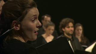 The Epiphoni Consort Spem in Alium by Thomas Tallis [upl. by Gomez]