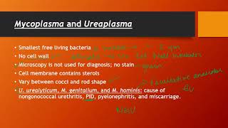 Mycoplasma and Ureaplasma [upl. by Eiramrebma]